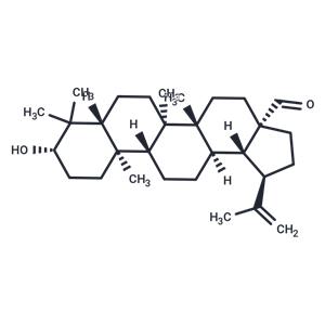 Betulinaldehyde