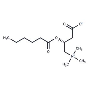 L-Hexanoylcarnitine