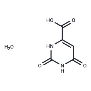 Orotic acid monohydrate