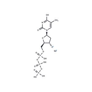 Deoxythymidine triphosphate