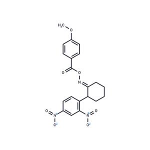 Compound 1T-0219 (SC)