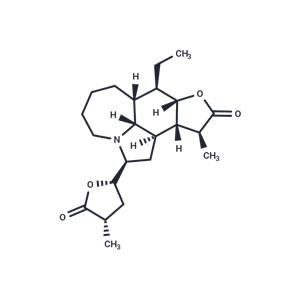 Tuberostemonine