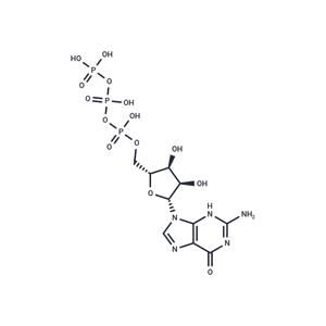 Guanosine triphosphate