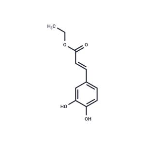 Ethyl trans-caffeate