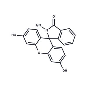 N-Aminofluorescein