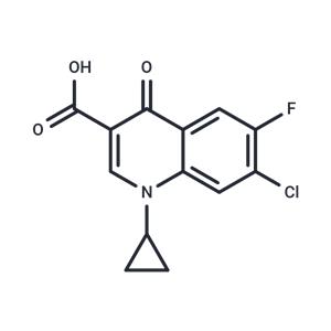 Ciprofloxacin EP IMpurity A