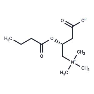 Butyrylcarnitine