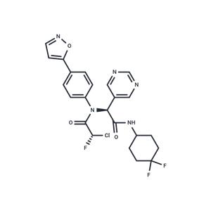 INSCoV-614(1B)