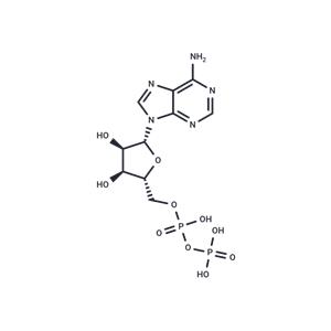 Adenosine 5'-diphosphate