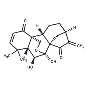 Eriocalyxin B