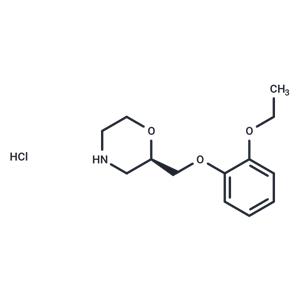 (R)-Viloxazine Hydrochloride