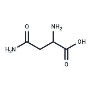 L-Asparagine