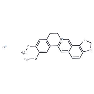 Epiberberine chloride