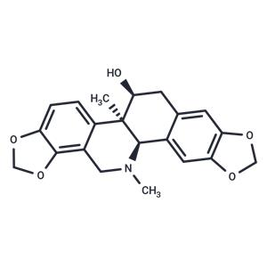 Corynoline