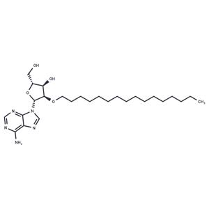 2’-O-Hexadecanyl adenosine