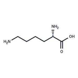 L-Lysine