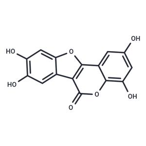 Isodemethylwedelolactone