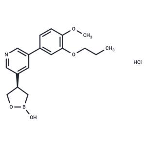 PF-07038124 HCl