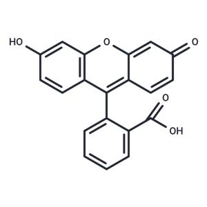 Fluorescein