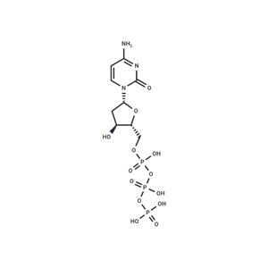 Deoxycytidine triphosphate