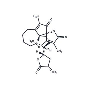 Protostemotinine