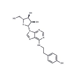 N6-(p-Hydroxyphenethyl)-Adenosine)