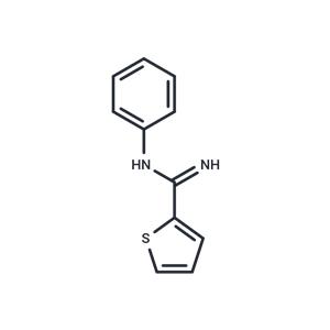 N-phenylthiophene-2-carboximidamide