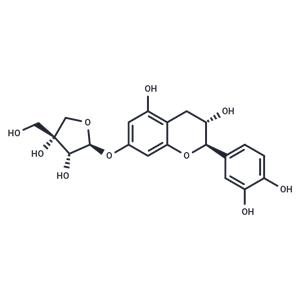 Catechin 7-apioside