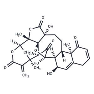 Physalin A