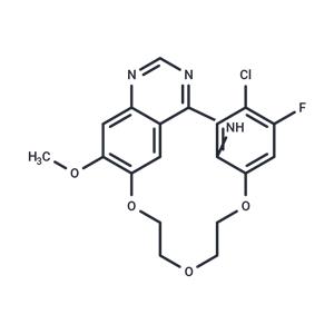 EGFR-IN-73