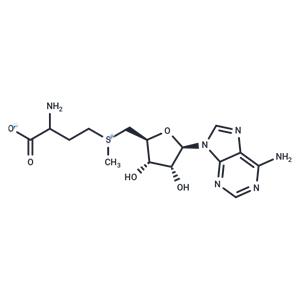 S-Adenosyl-DL-Methionine