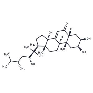 Polyporusterone A