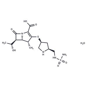 Doripenem monohydrate