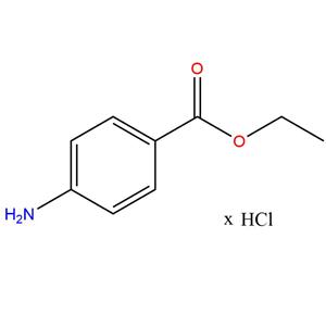 Benzocaine xHCl(94-09-7(free base))