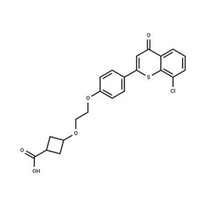 HBV-IN-32