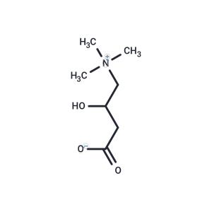 DL-Carnitine