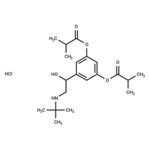 dl-Ibuterol hydrochloride