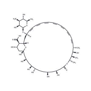 Amphotericin B