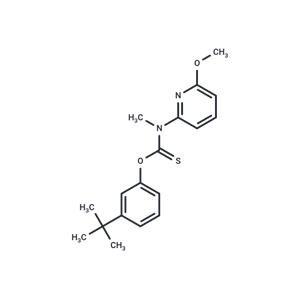 Pyributicarb