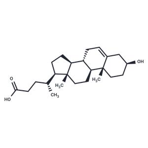 3b-Hydroxy-5-cholenoic acid