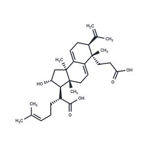 Poricoic acid B