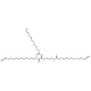 Amine-PEG3-Lys(PEG3-N3)-PEG3-N3