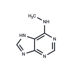 N6-Methyladenine