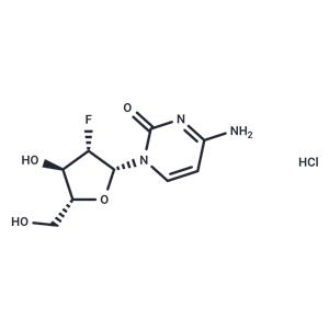 2’-Deoxy-2’-fluoro-β-D-arabinocytidine hydrochloride