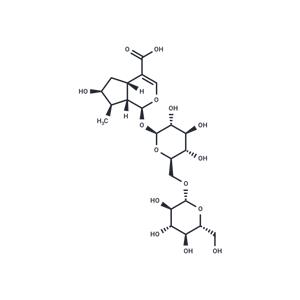 Loganic acid 6′-O-β-D-glucoside