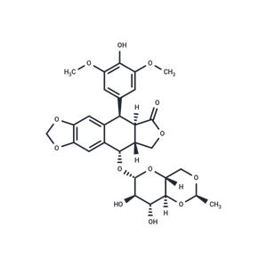 Etoposide