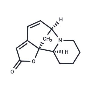 Allosecurinine