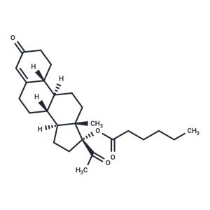 Gestonorone Capronate