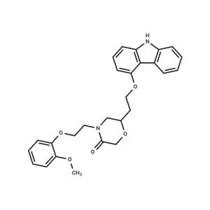 Homo-VK-II-36