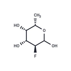 SGN-2FF